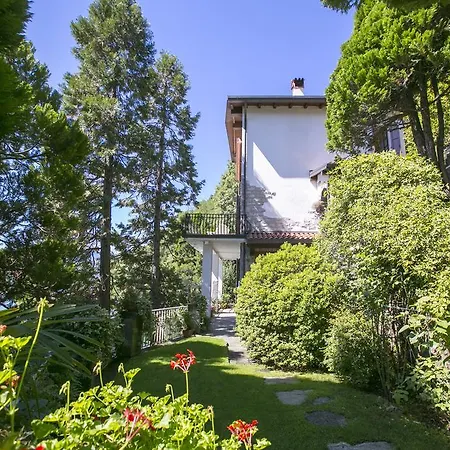 Le Cycas * San Siro (Lombardy)
